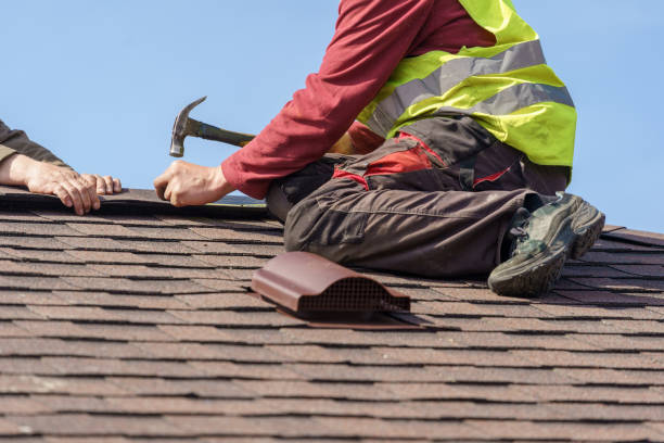 Best Roof Repair Services  in Colonial Heights, VA
