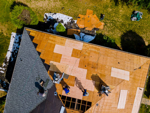 Best New Roof Installation  in Colonial Heights, VA