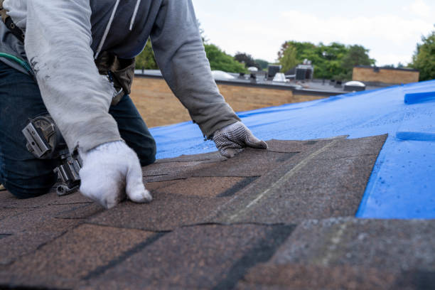 Best Commercial Roofing Services  in Colonial Heights, VA