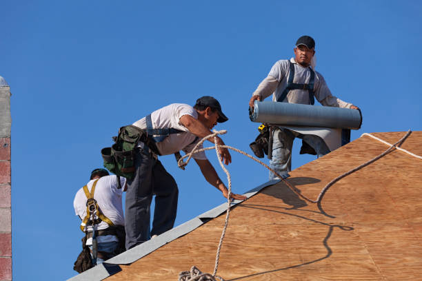 Best Gutter Installation and Roofing  in Colonial Heights, VA