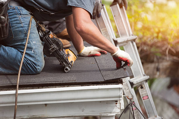 Roof Gutter Cleaning in Colonial Heights, VA