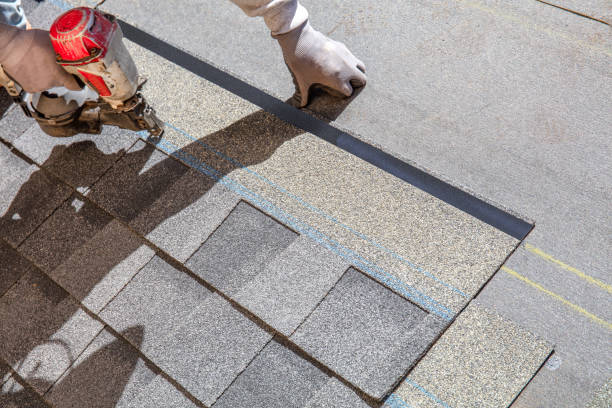 Best Roof Repair Services  in Colonial Heights, VA