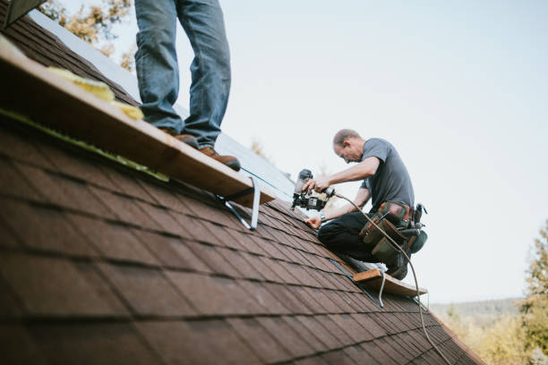 Best Roof Maintenance Services  in Colonial Heights, VA