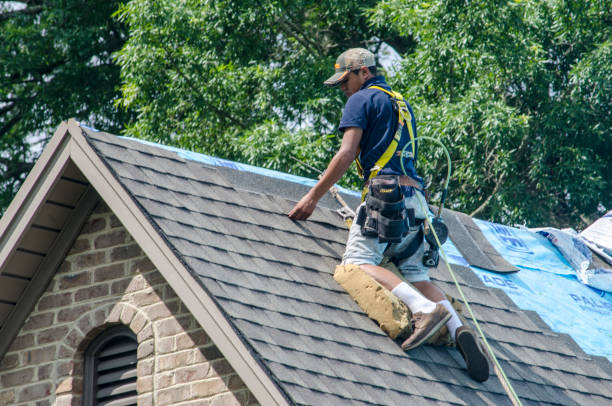Best Metal Roofing Contractor  in Colonial Heights, VA